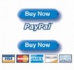 Thumbnail Create Paypal Buy Now Button (with PLR) Thumbnail Create Paypal Buy Now Button (with PLR)