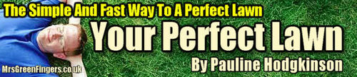 Product picture the perfect lawn