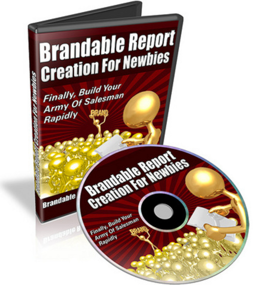 Product picture Brandable Report Creation For Newbies (with PLR)