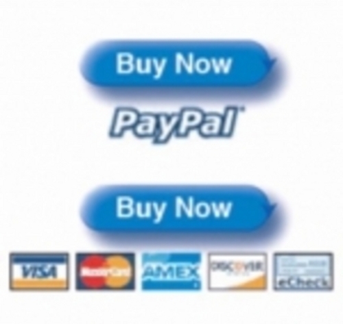 Product picture Create Paypal Buy Now Button (with PLR)