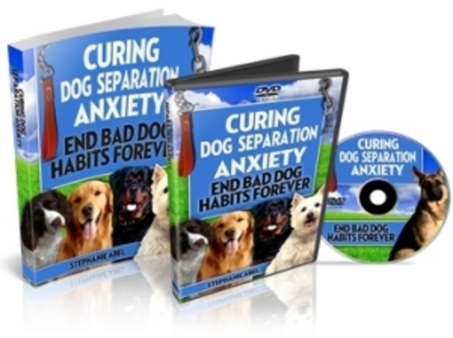 Product picture Curing Dog Separation Anxiety (with PLR)